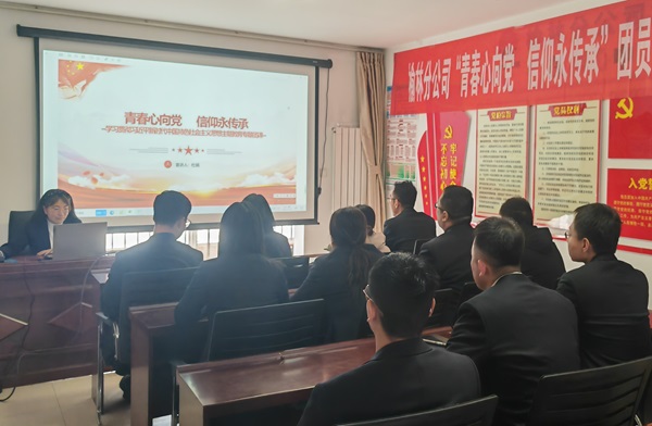 青春情向党，，，，，立功新时代——榆林分公司团总支开展团员和青年主题教育运动.jpg