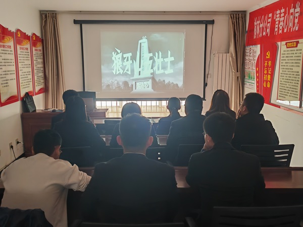 青春情向党，，，，，立功新时代——榆林分公司团总支开展团员和青年主题教育运动1.jpg