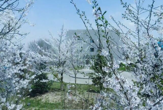 122cc太阳集成游戏(中国)有限公司官网